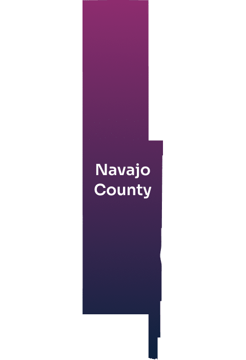 navajo county